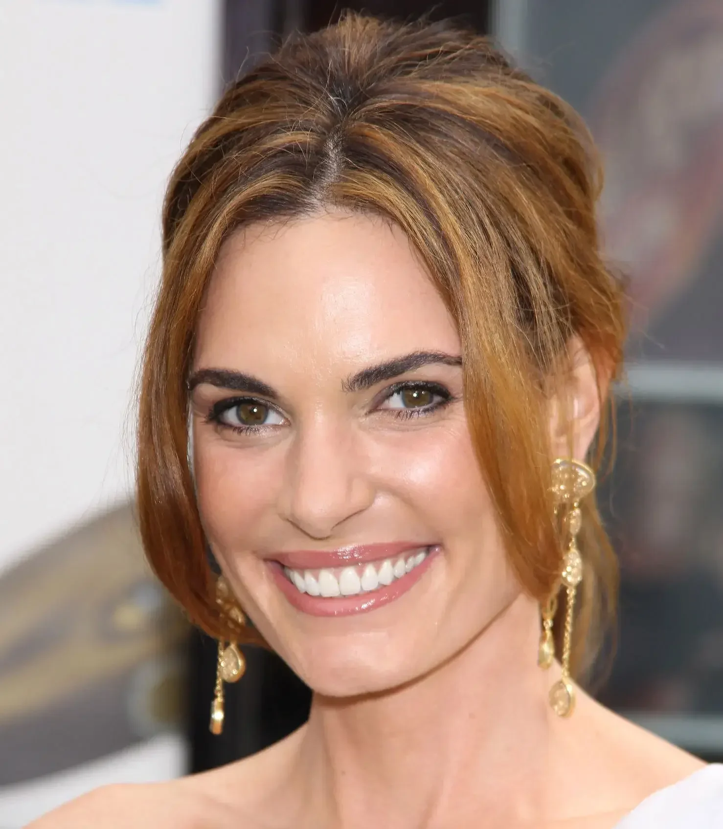 Lisa Linde Age, Wiki, Bio, Husband, Children, Career, Net Worth
